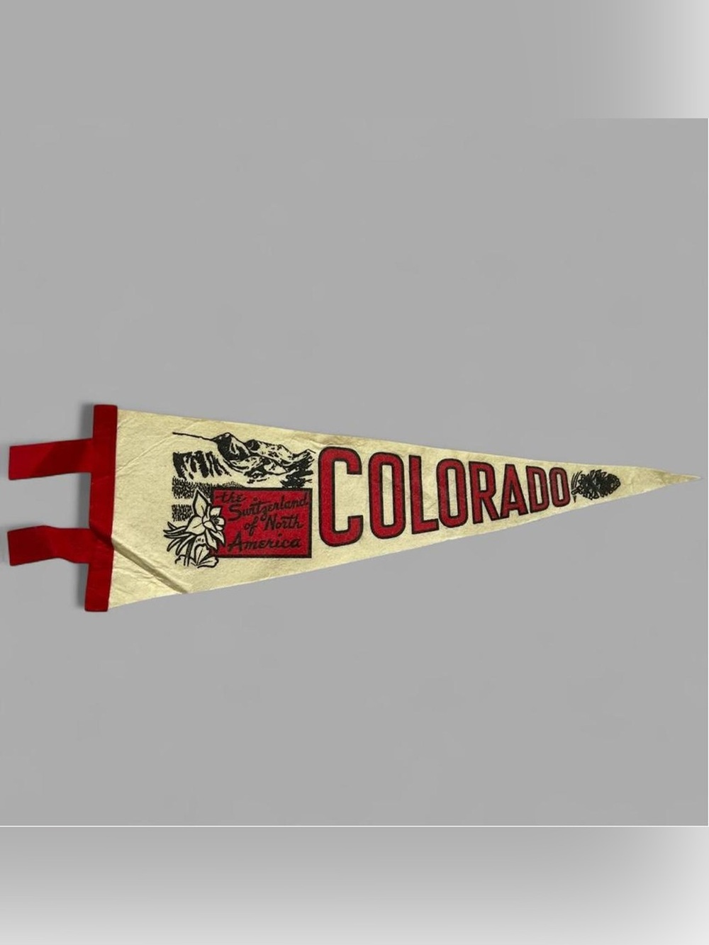 Vintage 60’s Retro Colorado “The Switzerland of North America” Felt Pennant